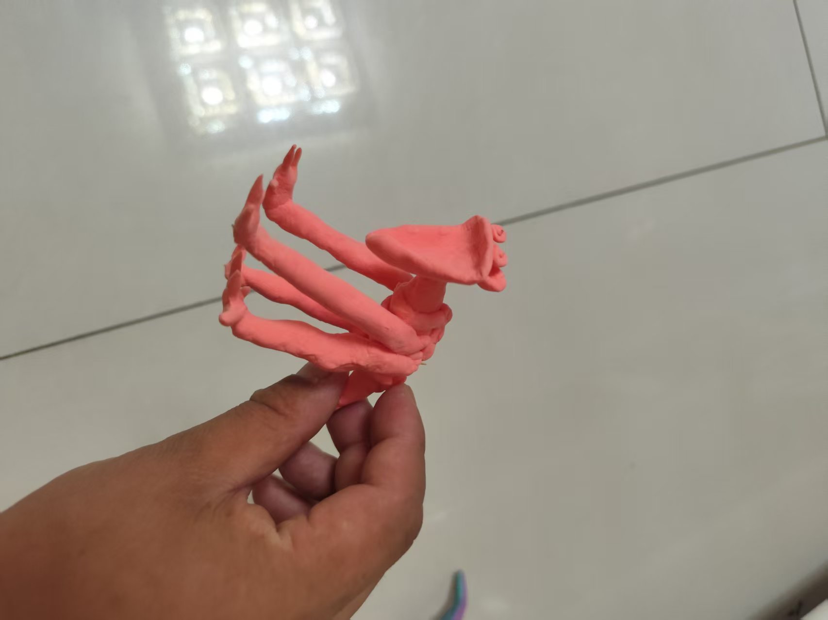 儿子说这是瞌睡猫
